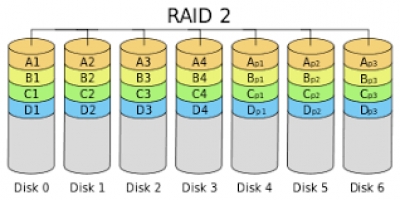 سطح RAID 2 در تکنولوژی RAID